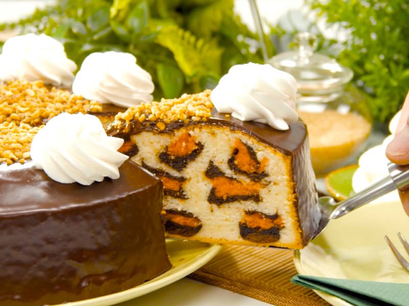 Spotted Leopard Cake With Chocolate Ganache
